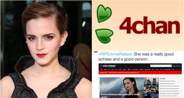 4Chan, Feminism, hat, Emma Watson