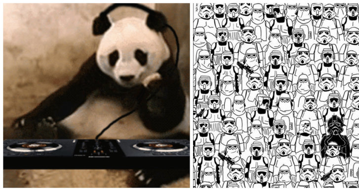 Quiz, Hitta pandan, Utmaning, Panda