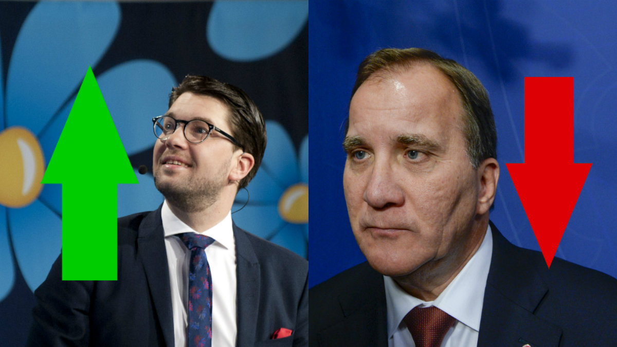 Sverigedemokraterna ökar i SCB:s nya undersökning.