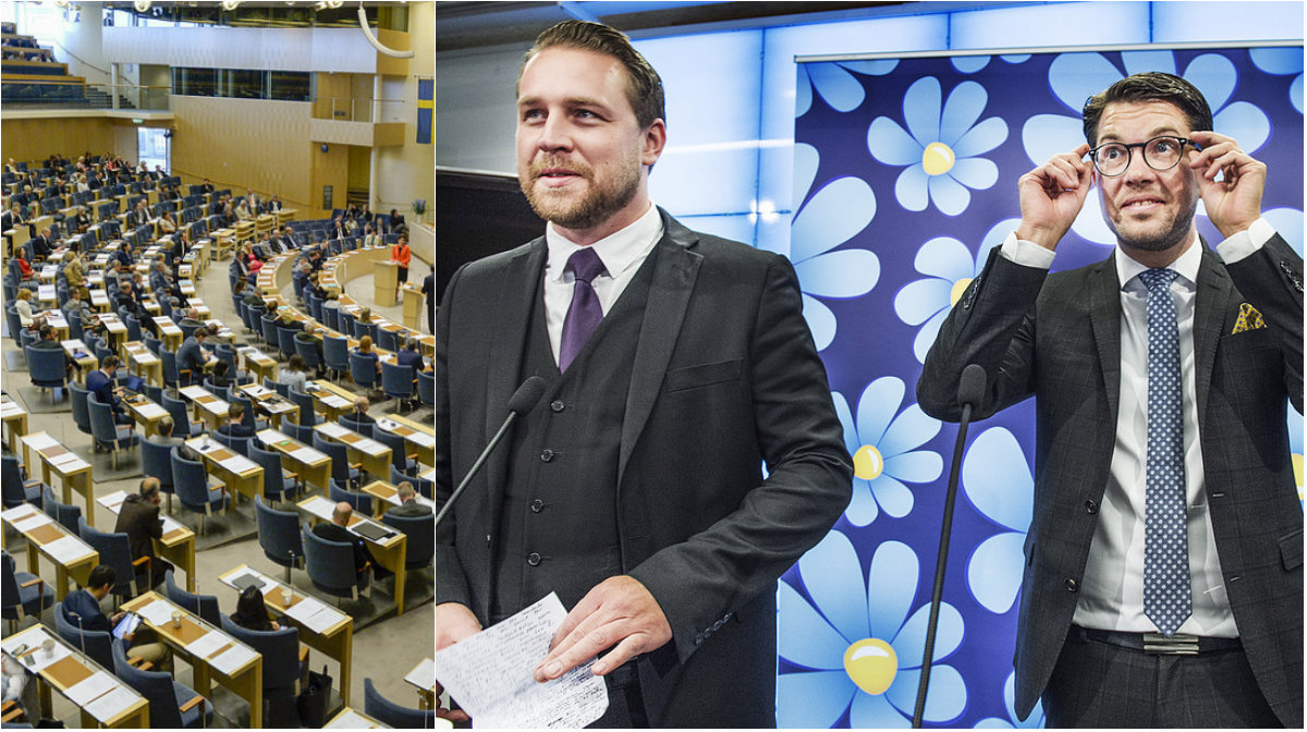 Riksdagen, Peter Hultqvist, Sverigedemokraterna