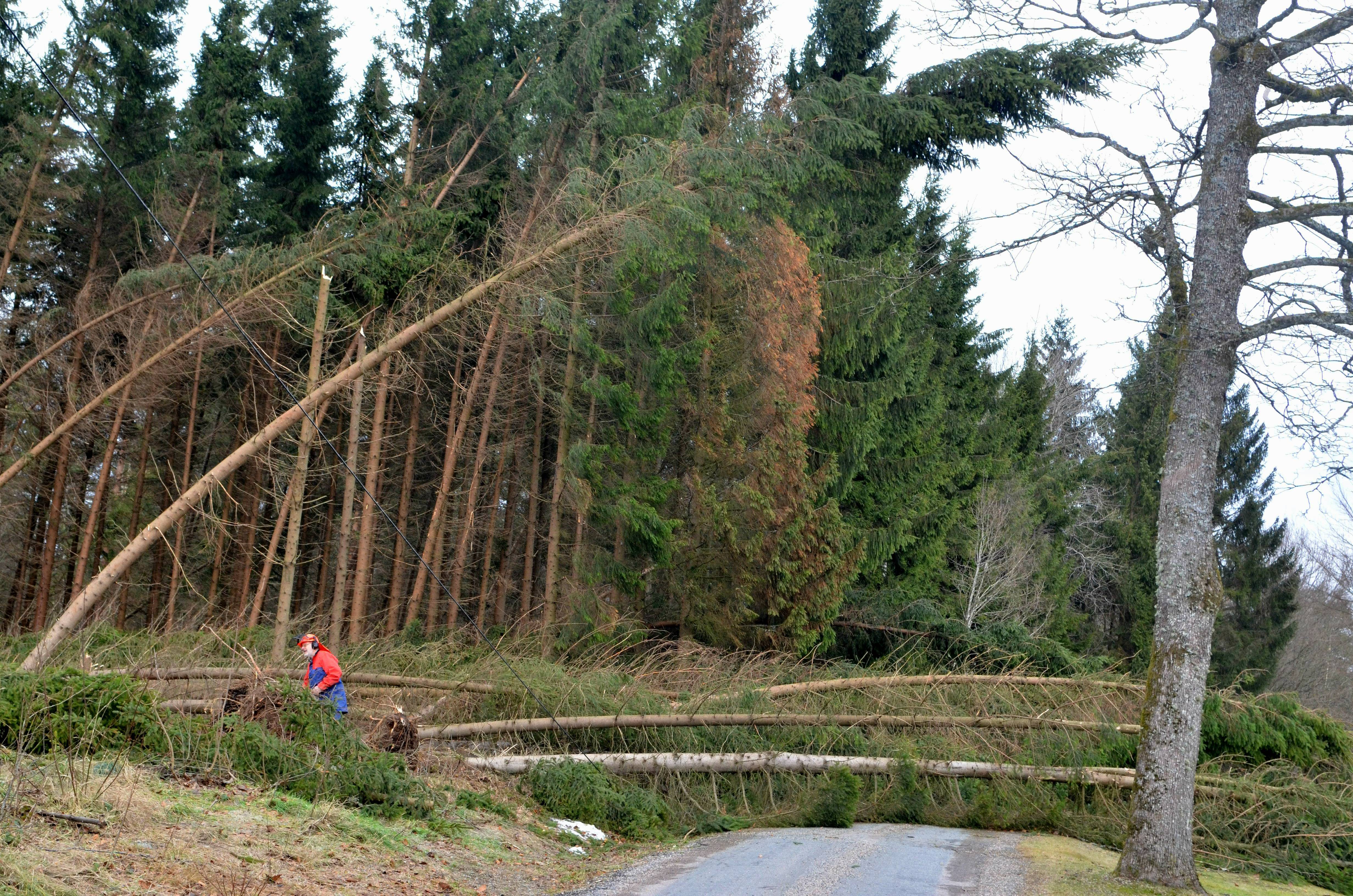 Bilden är tagen vid en tidigare storm i Skåne.