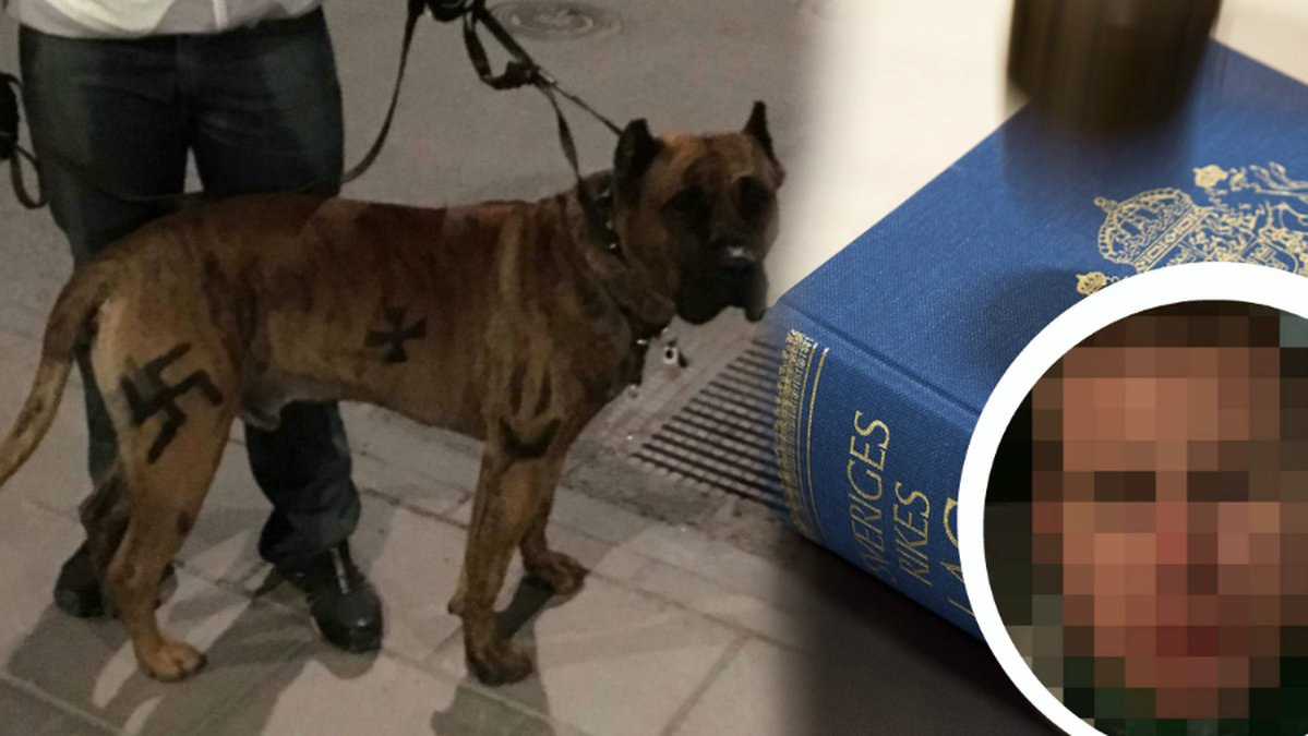 35-årig man döms för hets mot folkgrupp efter att ha målat nazistiska symboler på sin hund