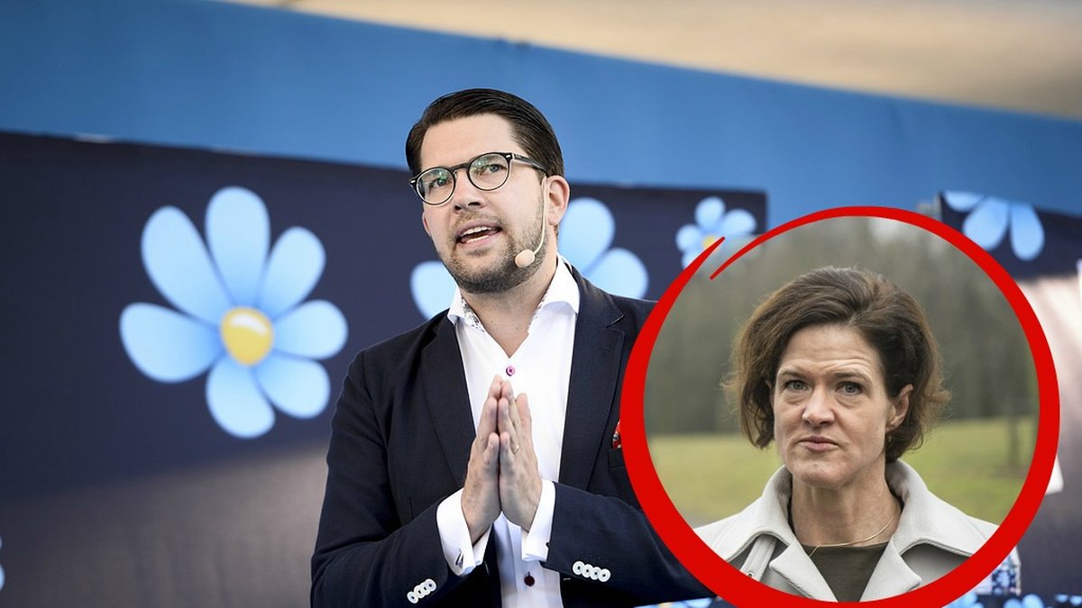 Sverigedemokraterna växer om Moderaterna. 
