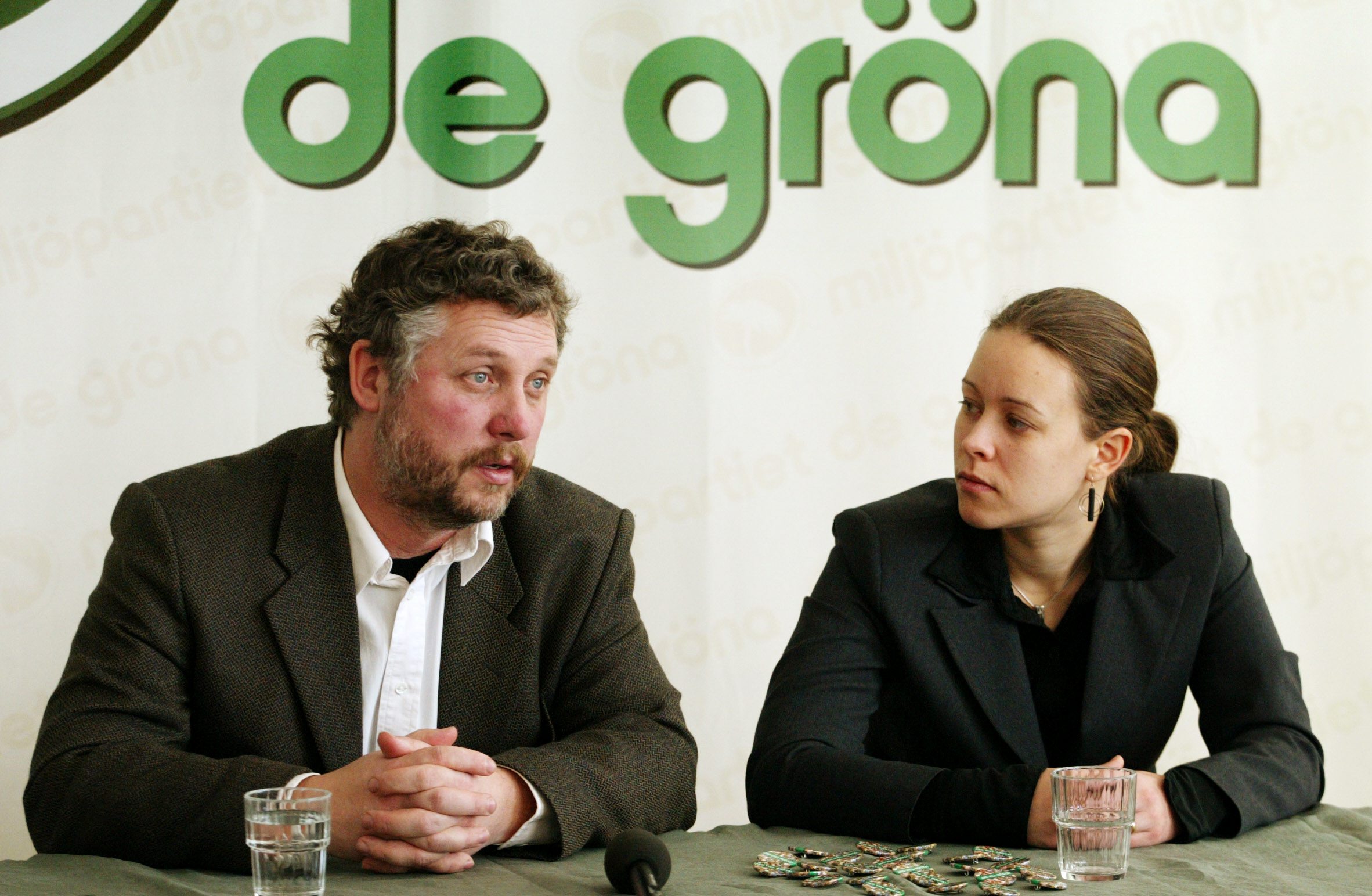 Peter Eriksson, SJ, Järnväg, Rödgröna regeringen, Tågtrafiken, Riksdagsvalet 2010, Miljöpartiet