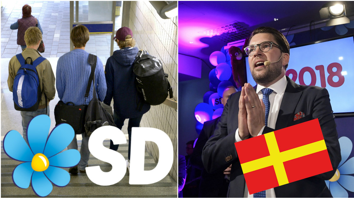 Skolungdomar, SD-logga, Skånska flagga, Jimmie Åkesson.