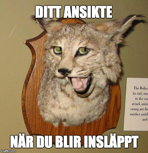 Whoop whoop! Whoop whoop!