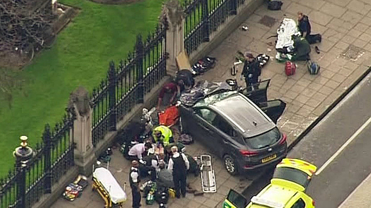 Bilen som körde in i staketet efter att ha prejat ner flera personer på Westminster bridge.