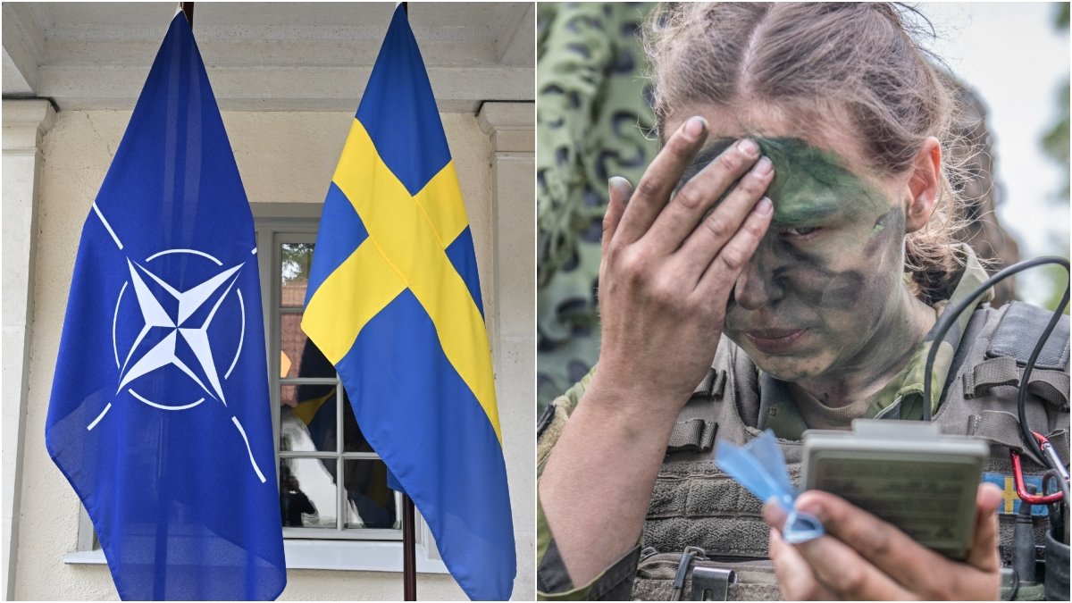 Ungern godkände under måndagen Sverige som Nato-medlem.