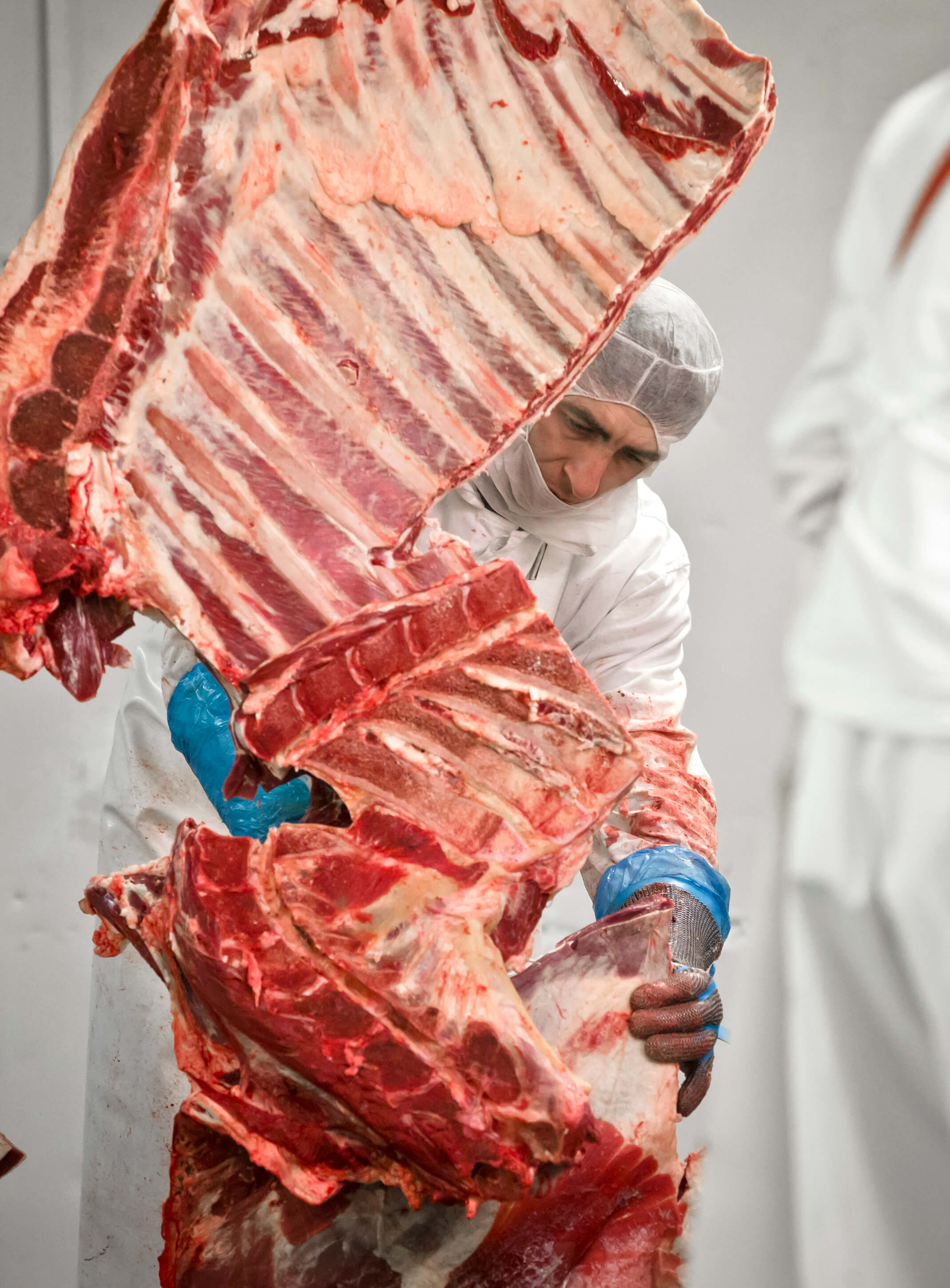 Ett företag hade markerat köttet som nötkött.