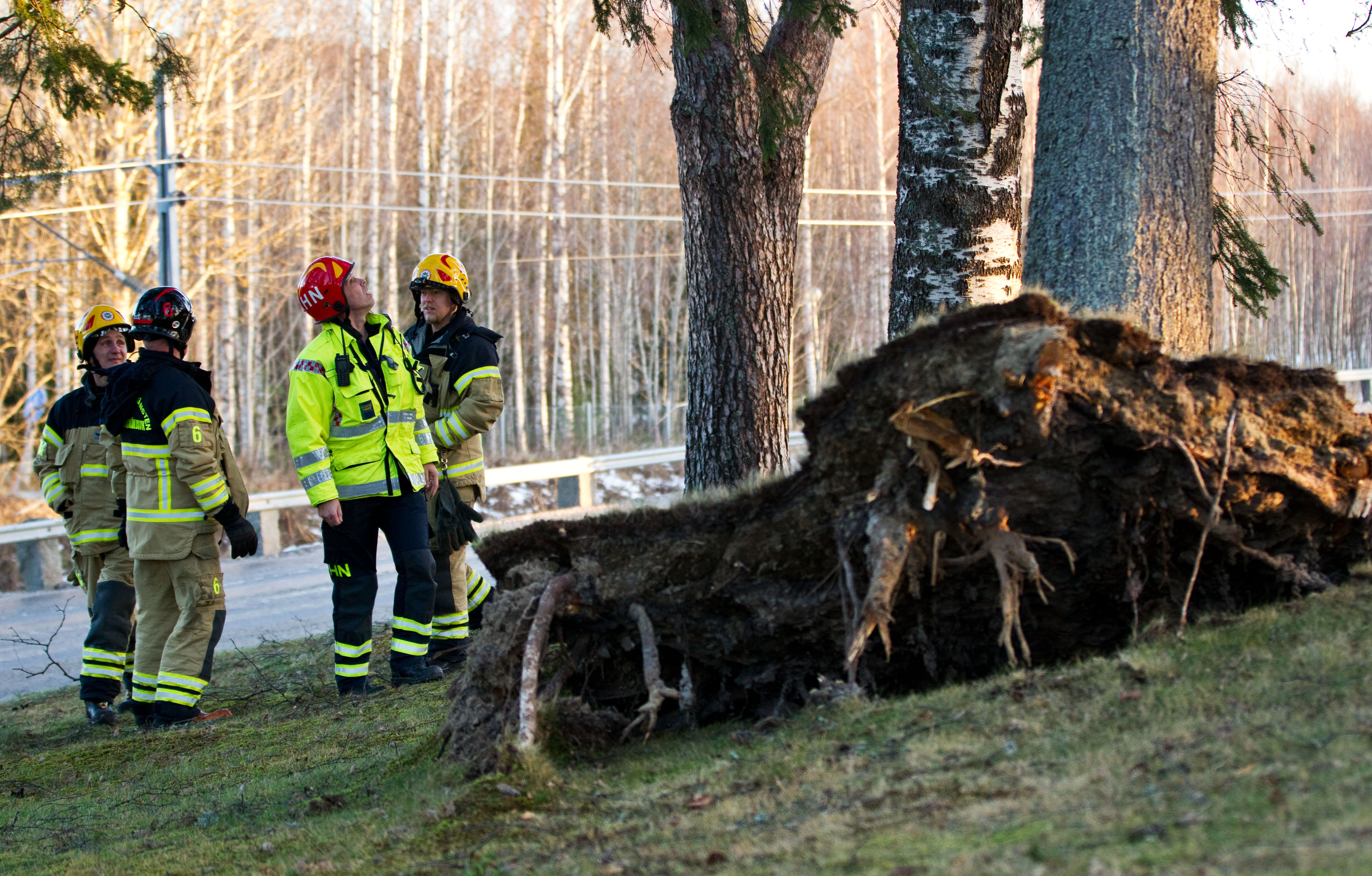 Det råder el- och trafikkaos i Sverige efter stormen Dagmar framfart. Som mest låg vindstyrkan på hela 37 meter per sekund. SMHI har utfärdat en klass-2-varning, den näst högsta på skalan, i Gävleborg, Västernorrland och Jämtlands län. 