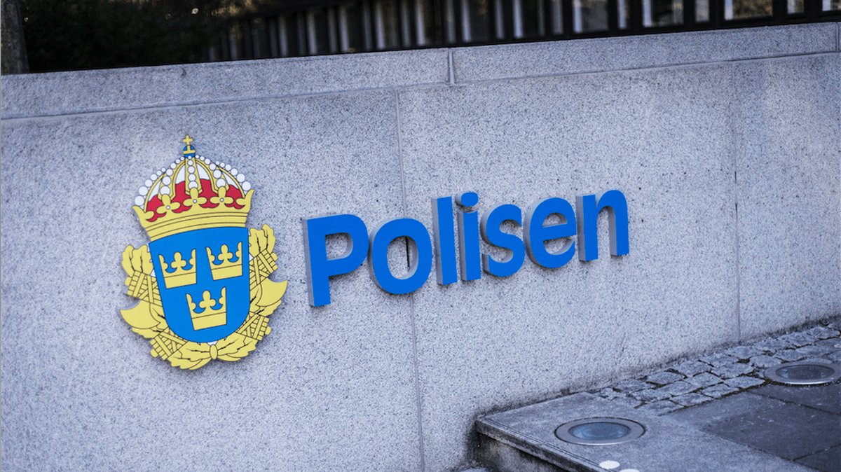 Han åtalas för sexuellt ofredande och misshandel på festivalen "We are Stockholm"