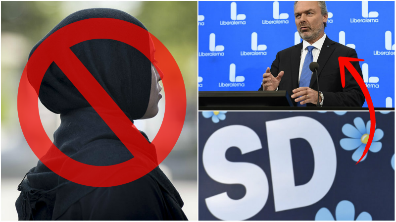 Kvinnor, Sverigedemokraterna, Slöja, Liberalerna, Hijab