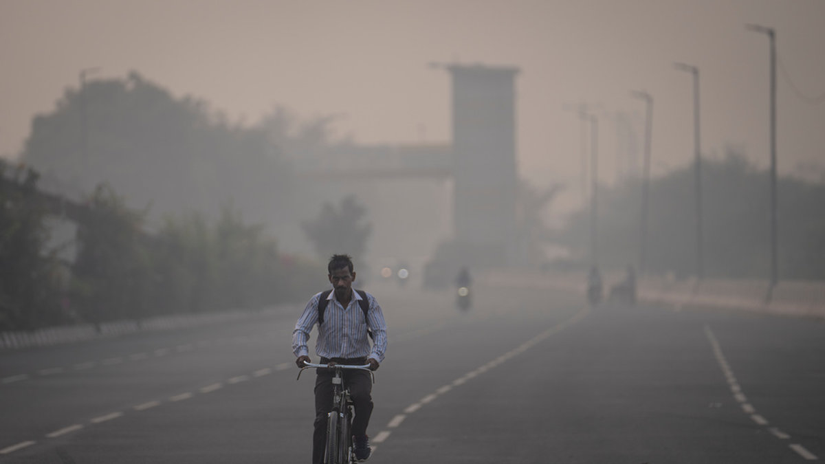 En cyklist i Delhis smog under tisdagen.