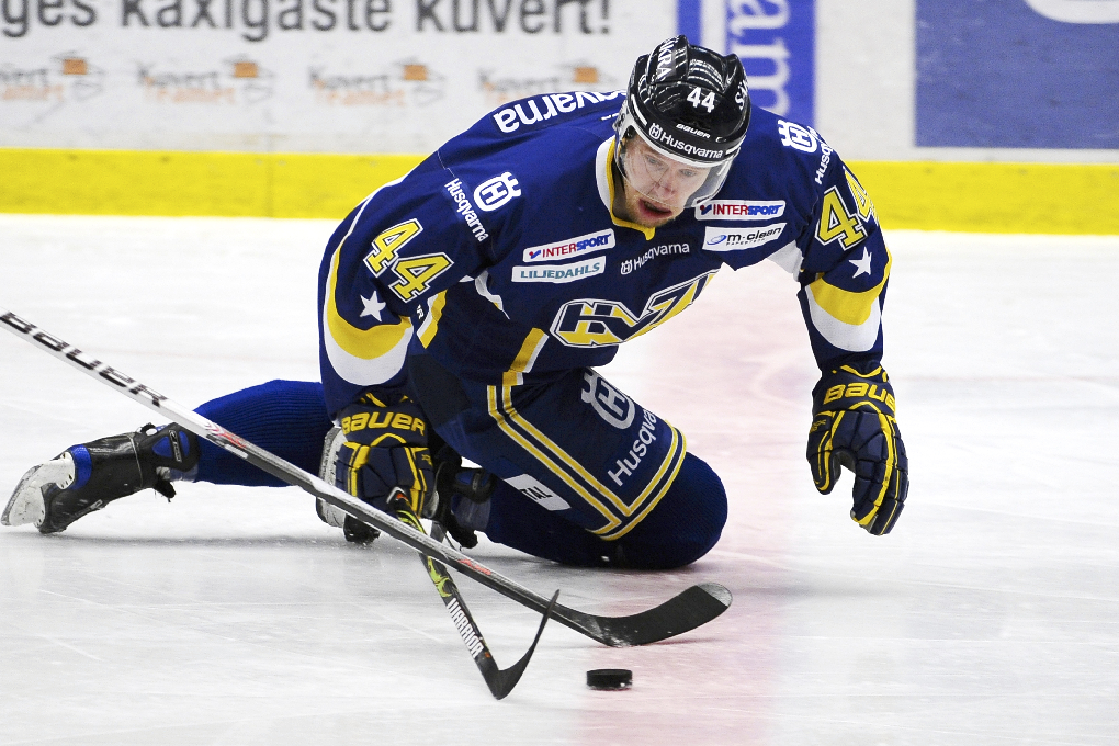 Janne Niinimaa, Djurgården IF, HV71, elitserien