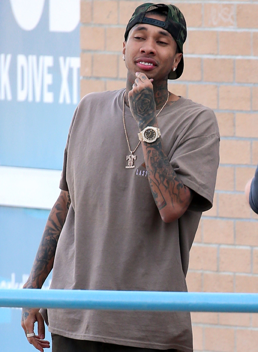 Tyga i Australien. Tyga i Australien.