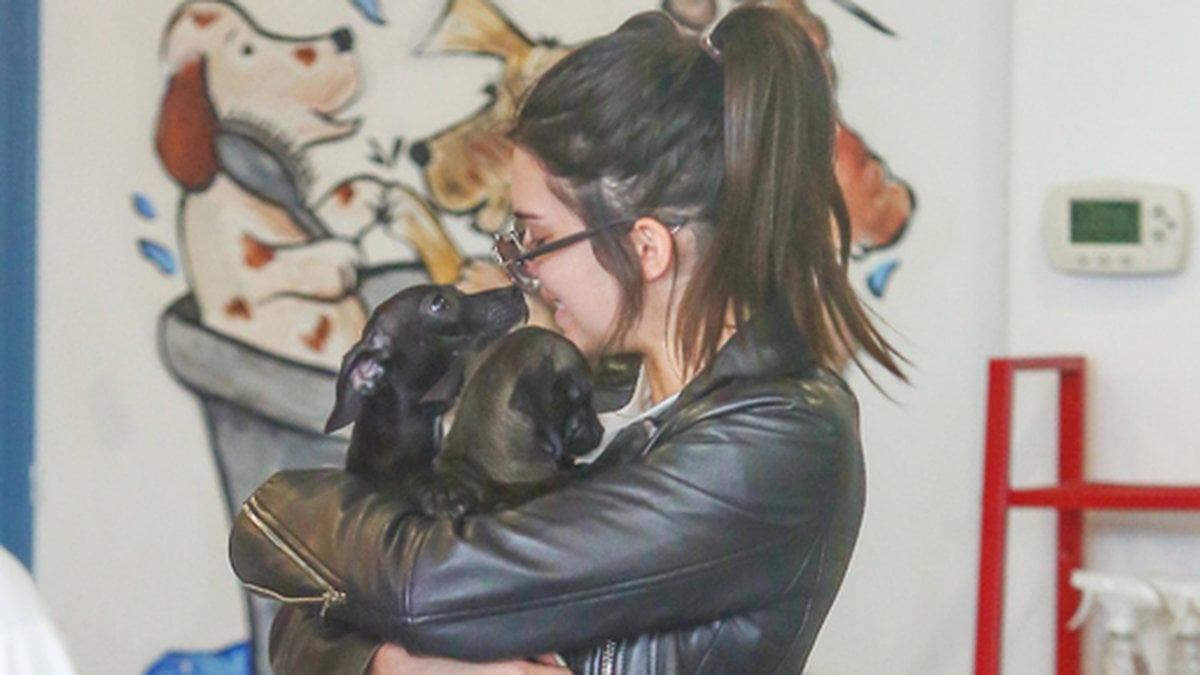 Kendall Jenner gosar med en hund i en djurbutik i Beverly Hills. 