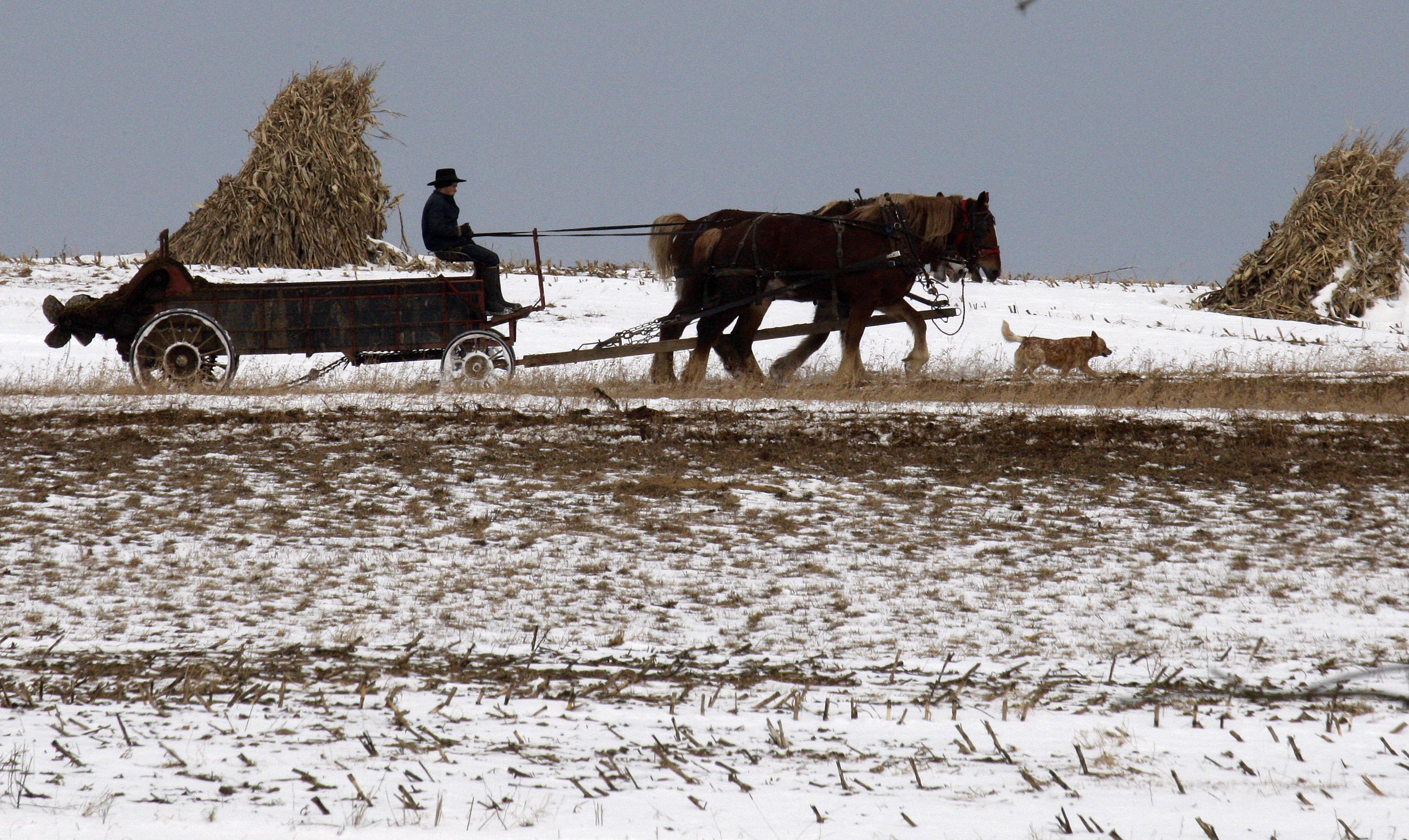 Amish-sekten försökte bota sexualbrottslingen i sex år. 