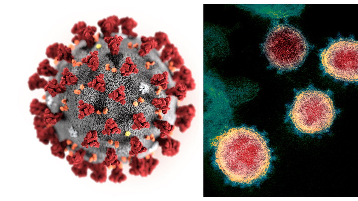 Forskare har upptäckt 40 mutationer av coronaviruset.