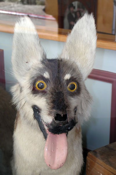 När man är uppstoppad gäller det att ha tungan rätt i mun. När man är uppstoppad gäller det att ha tungan rätt i mun.