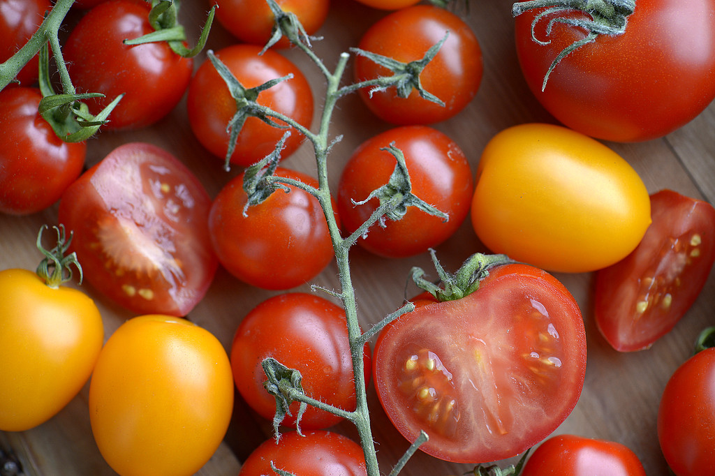 Ingen vill väl ha mögliga och smaklösa tomater? Tänkte väl det. Håll det då utanför ditt kylskåp. 