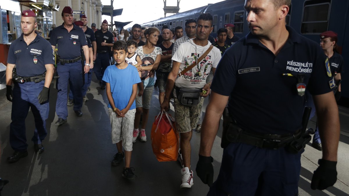 Migranter ekorteras av ungersk polis till ett tåg som ska ta dem till ett flyktingläger. 