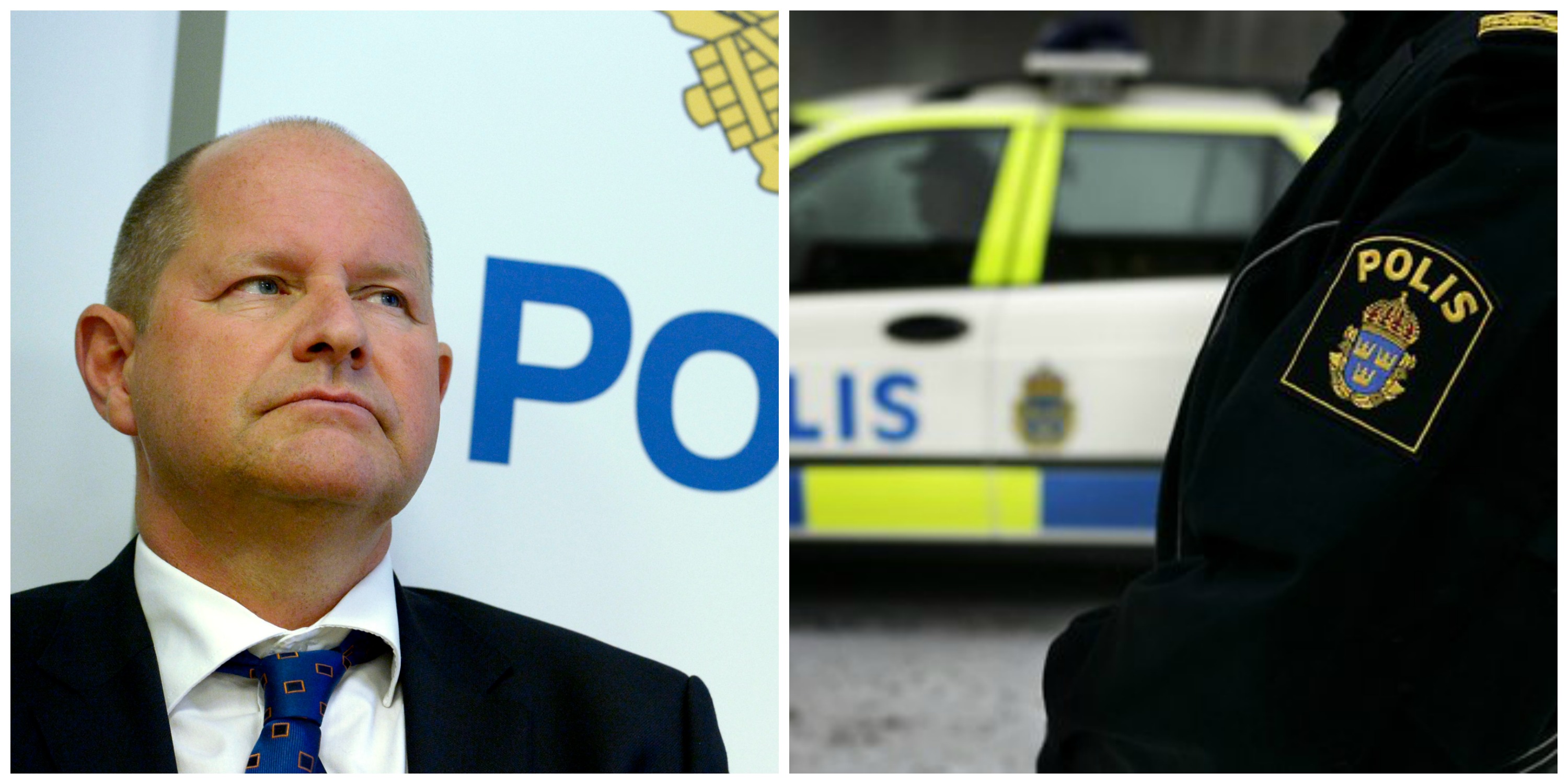 Dan Eliasson, svpol, Rikspolischef, Polisen