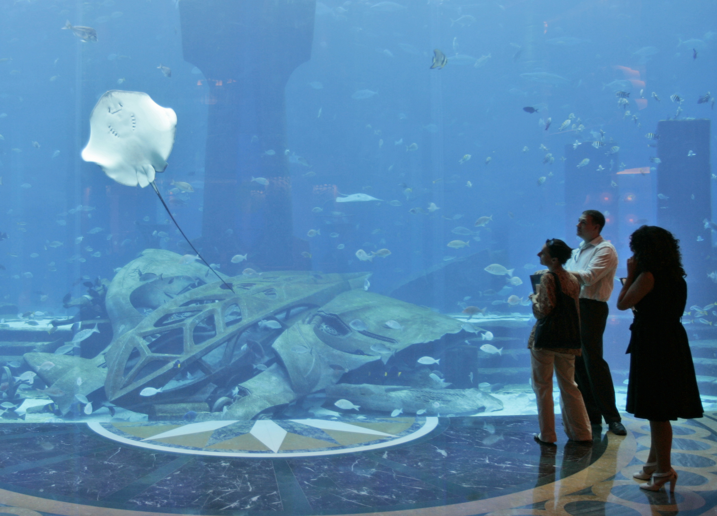 I akvariet bor hundratals hajar och sammanlagt 33 000 havsdjur.
