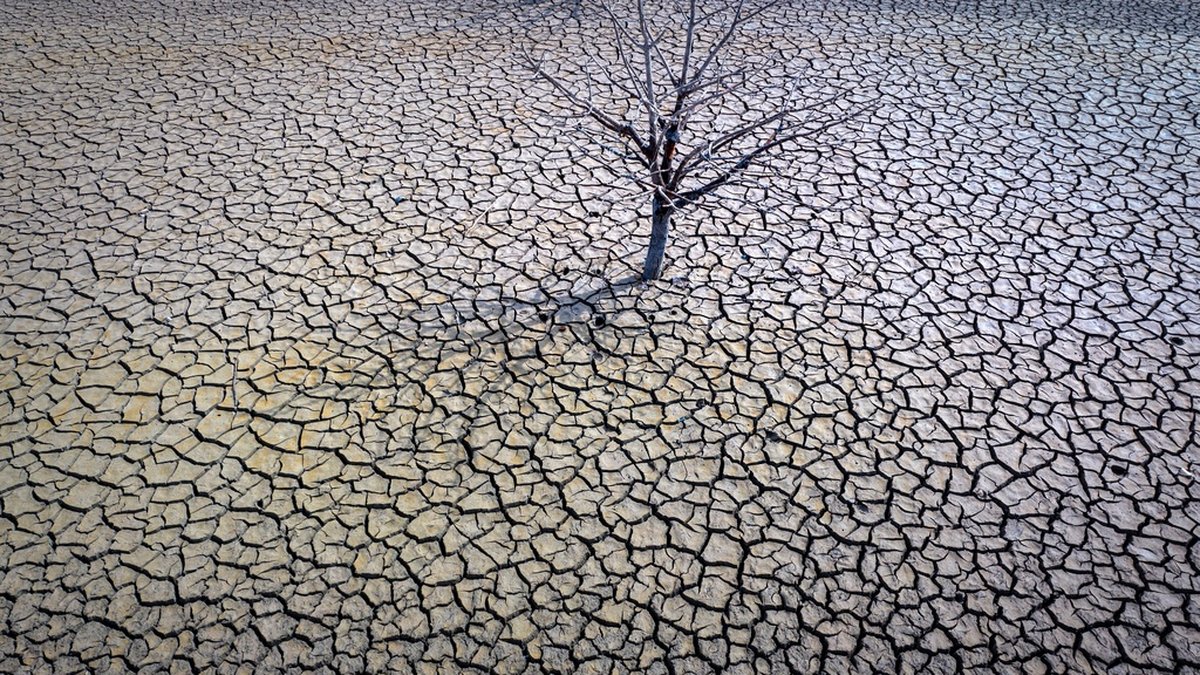 Torr, sprucken jord i reservoaren Sau norr om Barcelona i mars. Arkivbild.