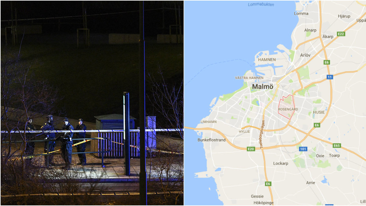 En 16-åring har skjutits till döds i Rosengård utanför Malmö.
