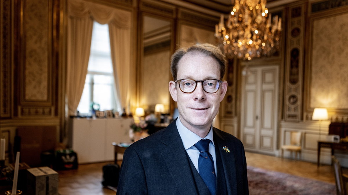 Sveriges utrikesminister Tobias Billström (M) trivs bra i prinsessan Sofia Albertinas gamla sällskapsrum i Arvsfurstens palats.