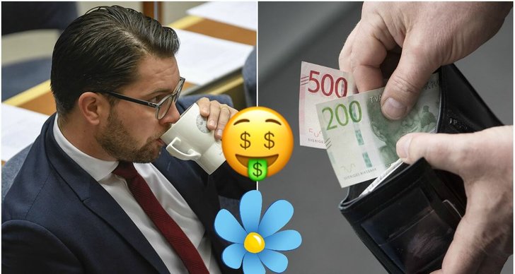 Sverigedemokraterna, Högerextremism, Pengar