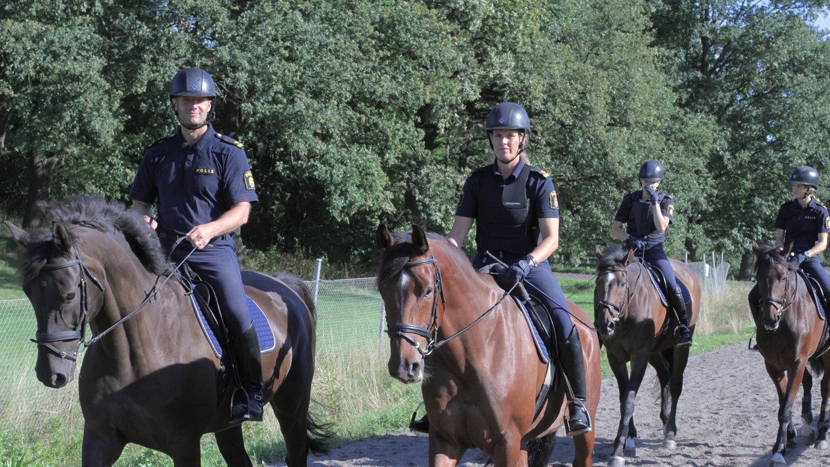 Polisrytteriet tränar sina hästar varje dag på Östermalm i Stockholm