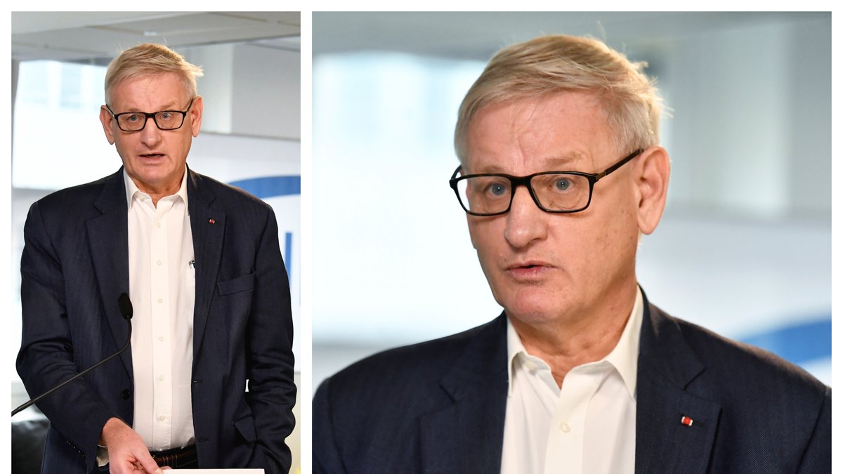 Hur mycket pengar tjänar egentligen Carl Bildt? Nyheter24 har svaret!