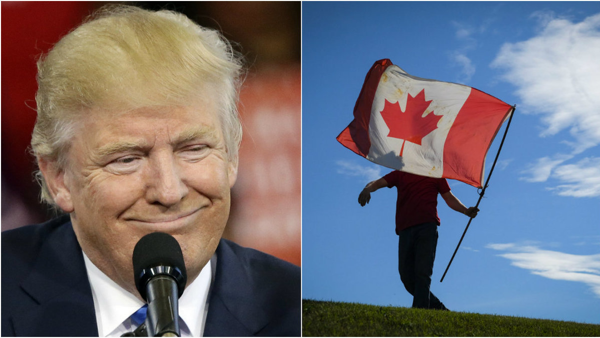 Trump mot seger – det påverkar visst Kanada mycket.