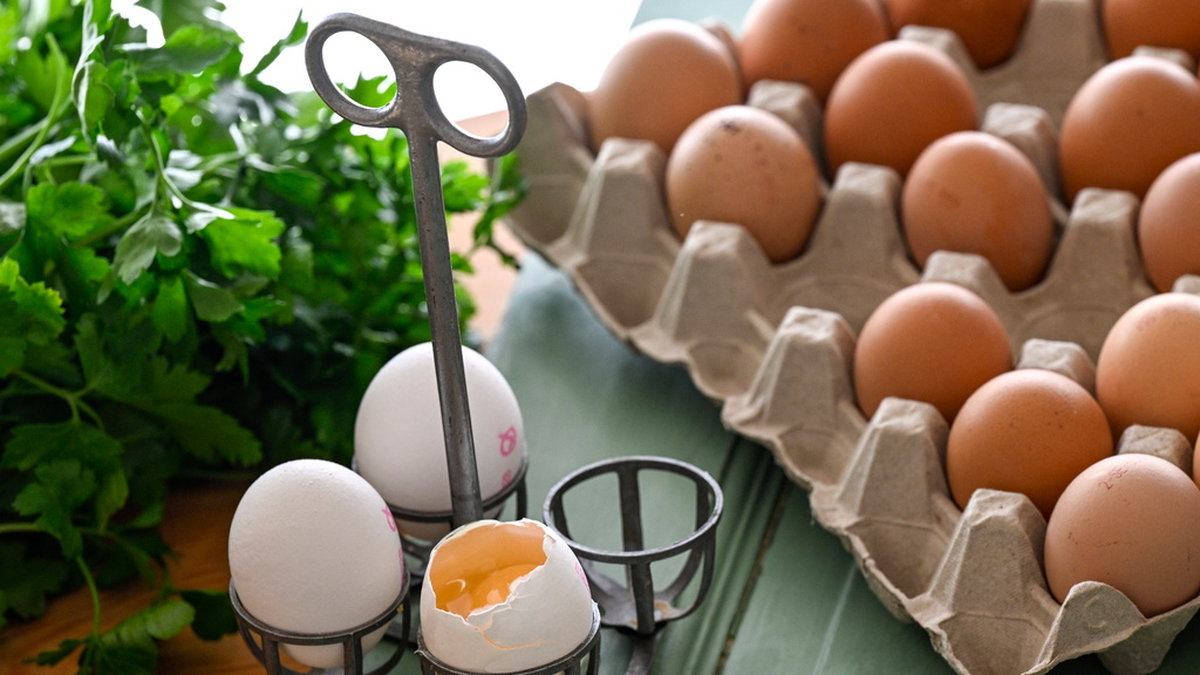Jordbruksverket ger tummen upp att köpa storproducentens ägg.