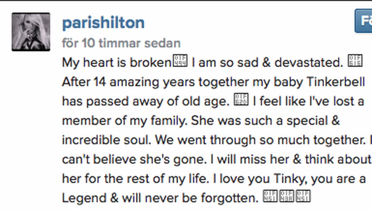 Detta skrev Paris Hilton om hundens bortgång på Instagram. 