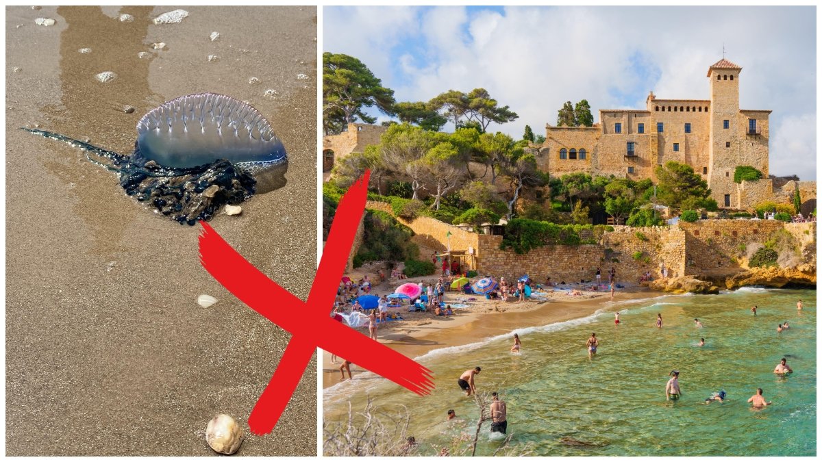 Badförbud har införts på flera stränder på spanska östkusten. 