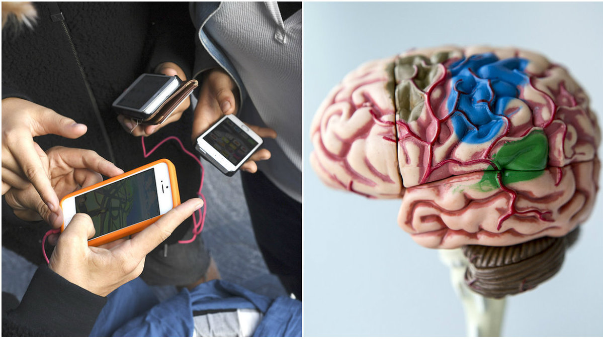 Att använda mobilen för mycket kan göra att hjärnan krymper enligt forskare. 