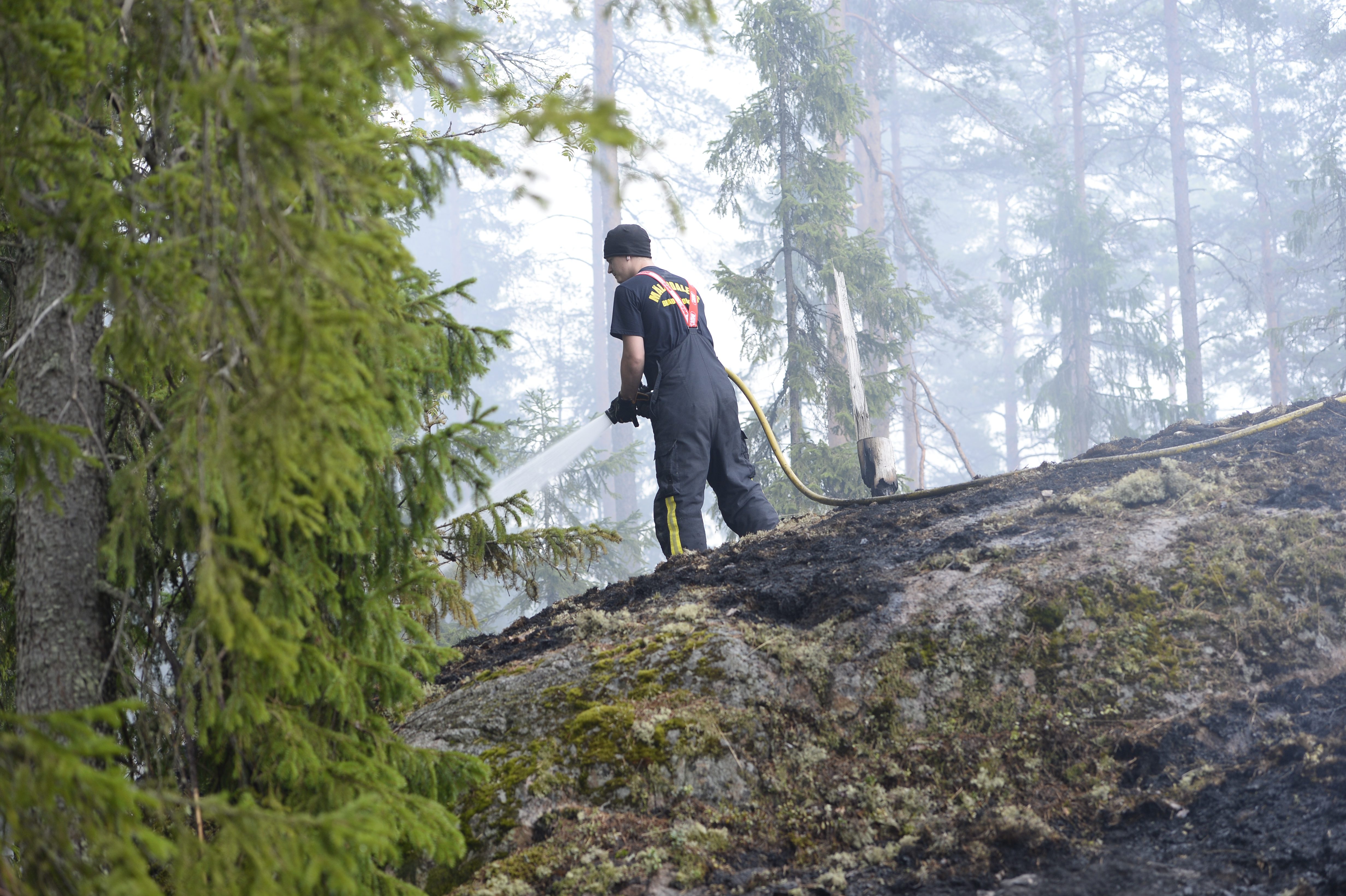 En skogsbrand bryter ut i Sala och Surahammars kommuner, den värsta skogsbranden i Sverige under modern tid.
En skogsbrand bryter ut i Sala och Surahammars kommuner, den värsta skogsbranden i Sverige under modern tid.
