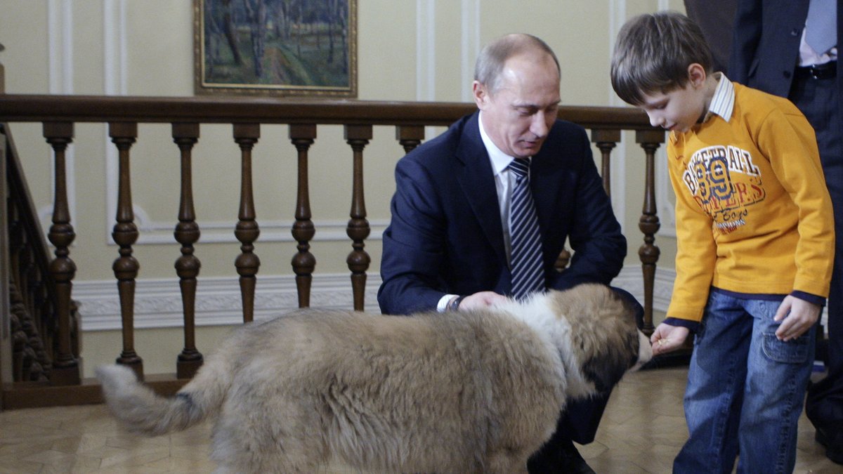 Den här hunden fick Putin i present av Bulgariens president. Putin döpte den till Buffy.