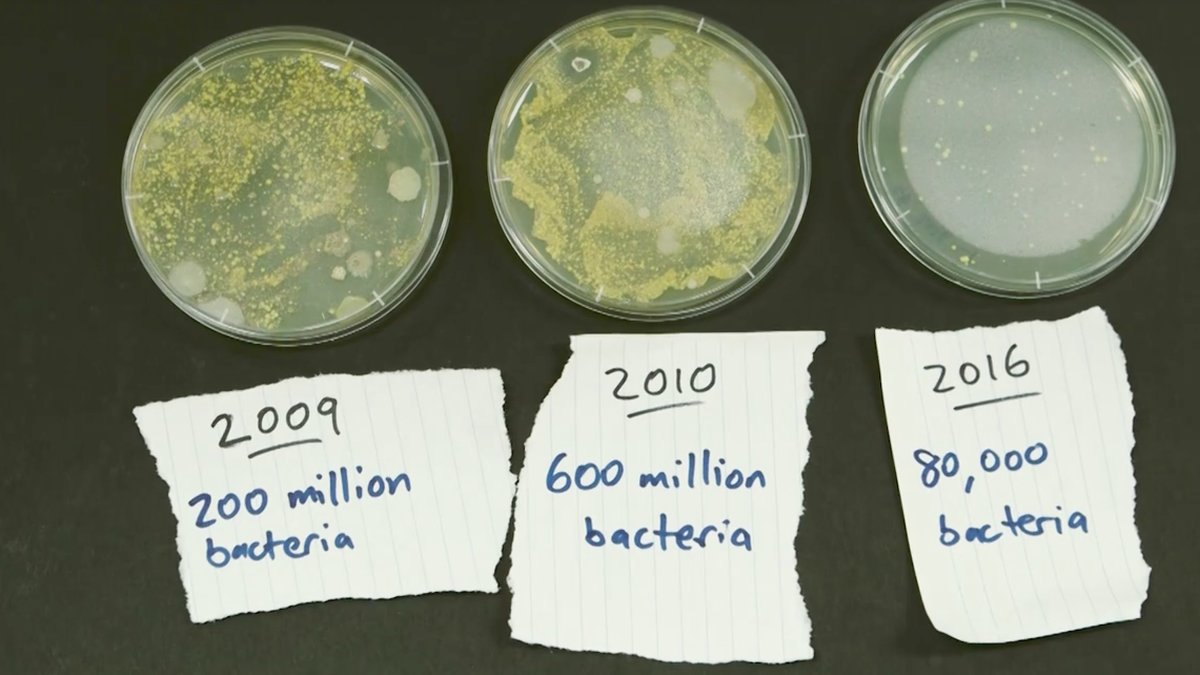 Testet visade att de innehåller typ massor av bakterier.
