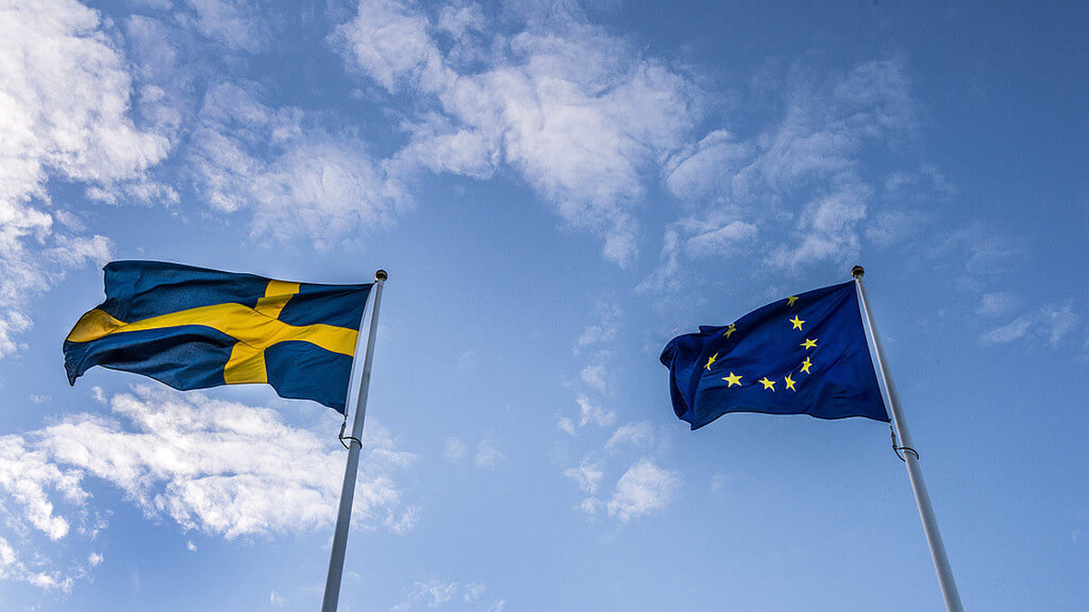 4 av 10 svenskar vill att Sverige har en folkomröstning om EU-medlemskap. 