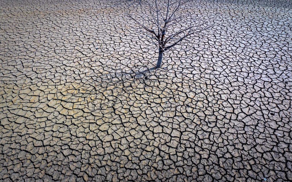 Torr, sprucken jord i reservoaren Sau norr om Barcelona i mars. Arkivbild.