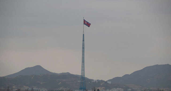 Misshandel, Kim Jong-Un, TT, Nordkorea