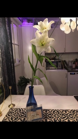 Blommorna som Christian fick av Janne. Blommorna som Christian fick av Janne.