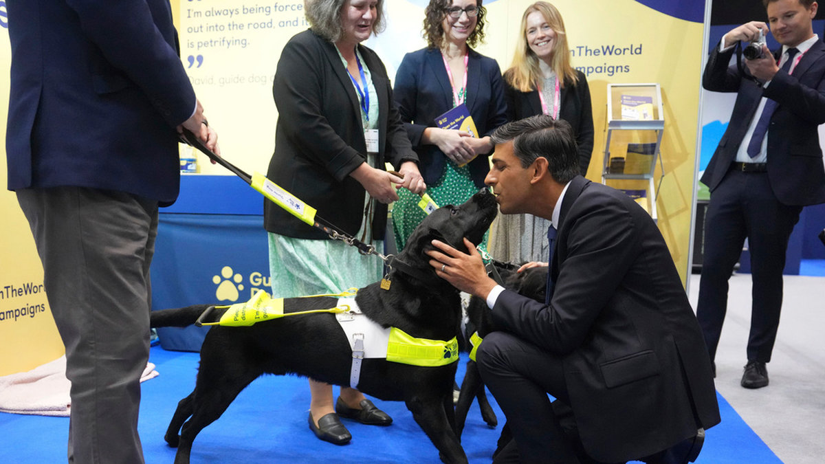 Rishi Sunak hälsar på en ledarhund i kongresshallen i Manchester.