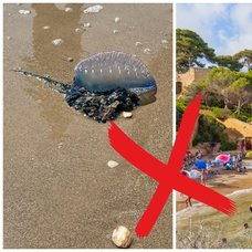 Badförbud har införts på flera stränder på spanska östkusten. 