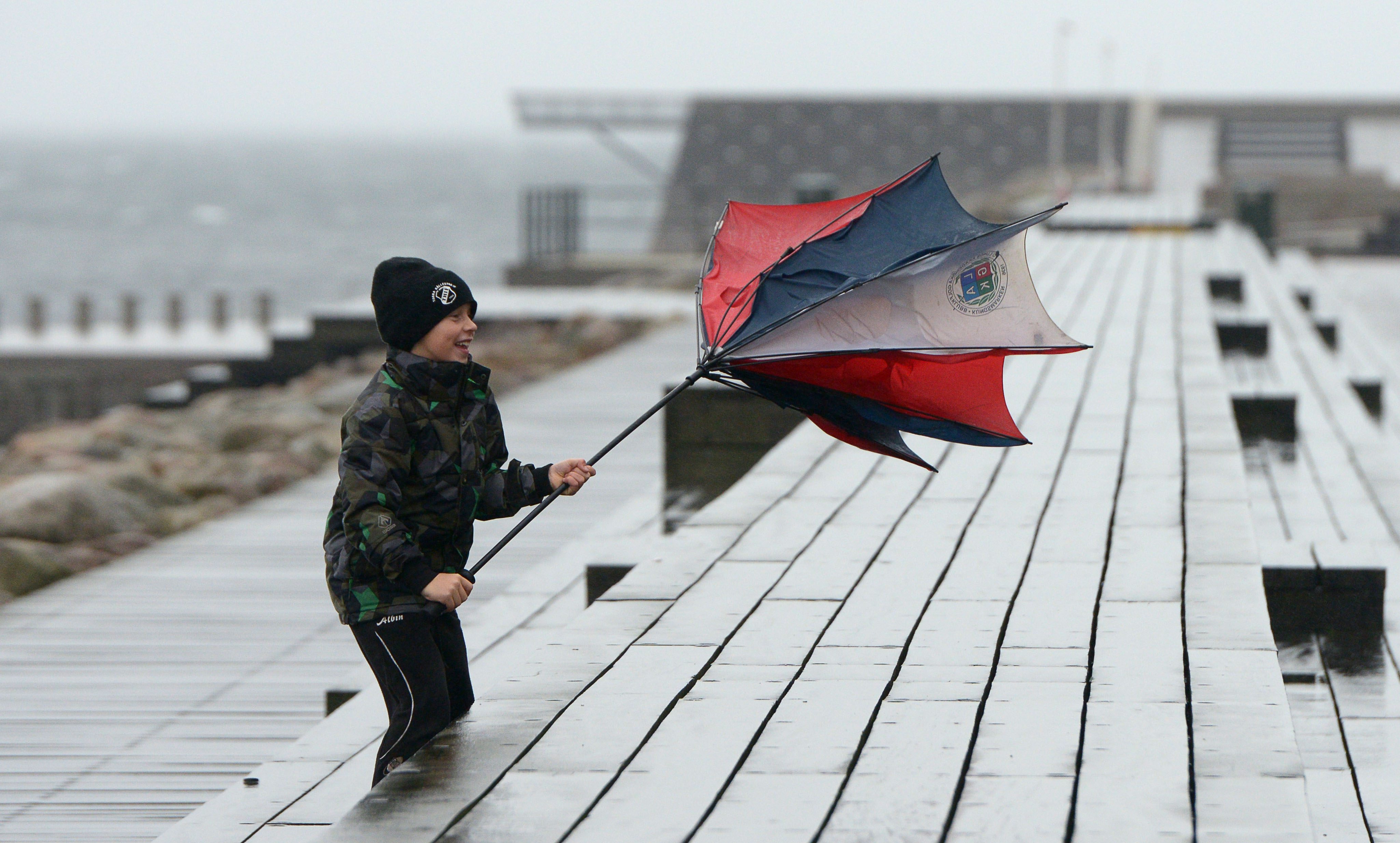 Här är några som strök med i stormens inferno: Det här paraplyet. Här är några som strök med i stormens inferno: Det här paraplyet.
