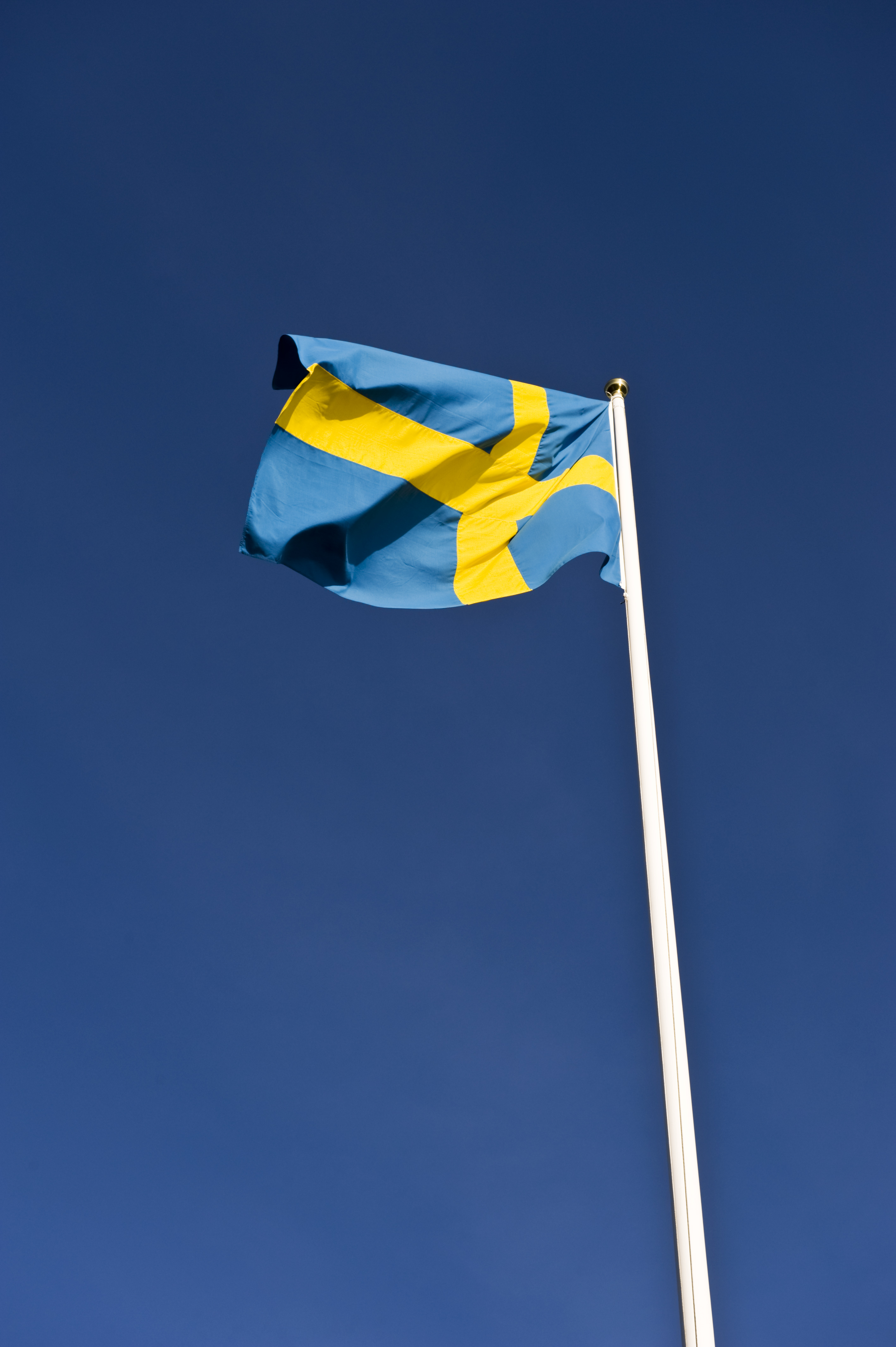 I Sverige skulle torsdagens marijuanabeslagtagning vara värd 12 miljarder kronor.