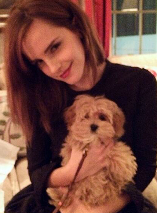 Emma Watson och världens sötaste hund? Emma Watson och världens sötaste hund?